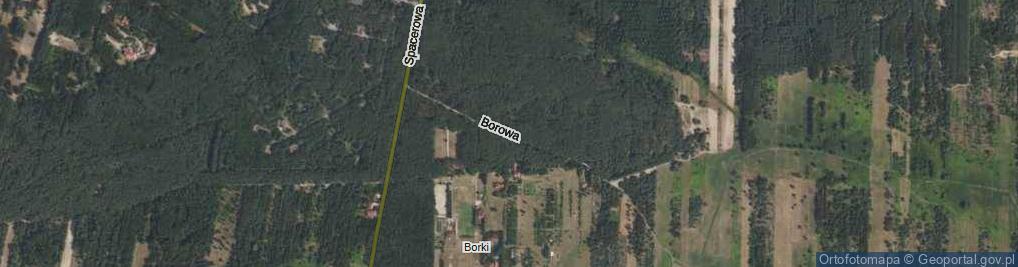 Zdjęcie satelitarne Borowa Droga ul.